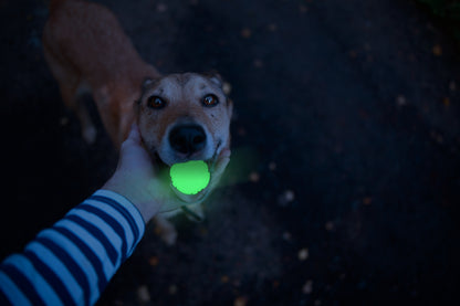 2 Glow Fetch and catch