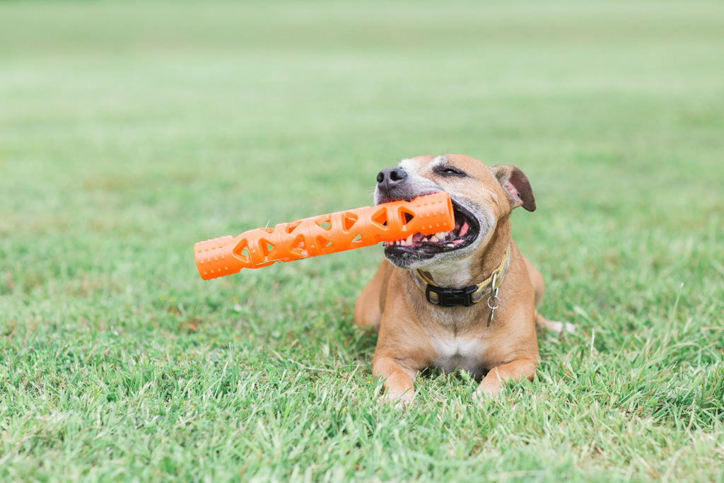 Chuckit! Air Fetch Stick