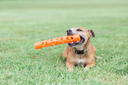 Chuckit! Air Fetch Stick