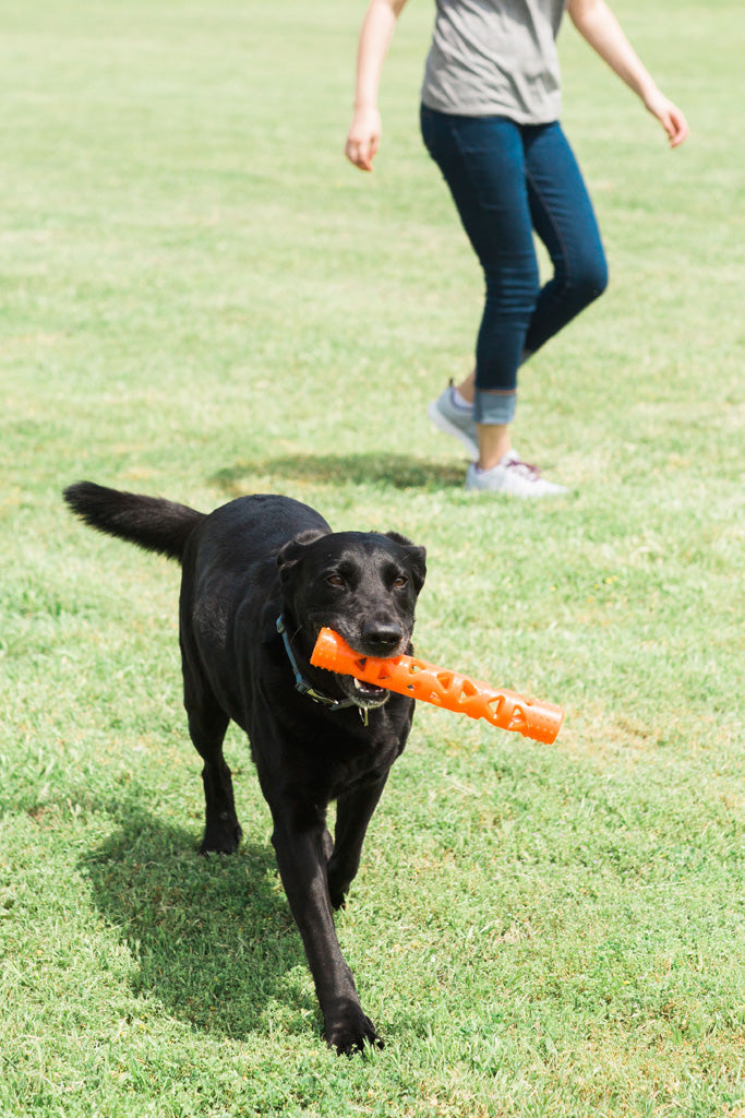 Chuckit! Air Fetch Stick