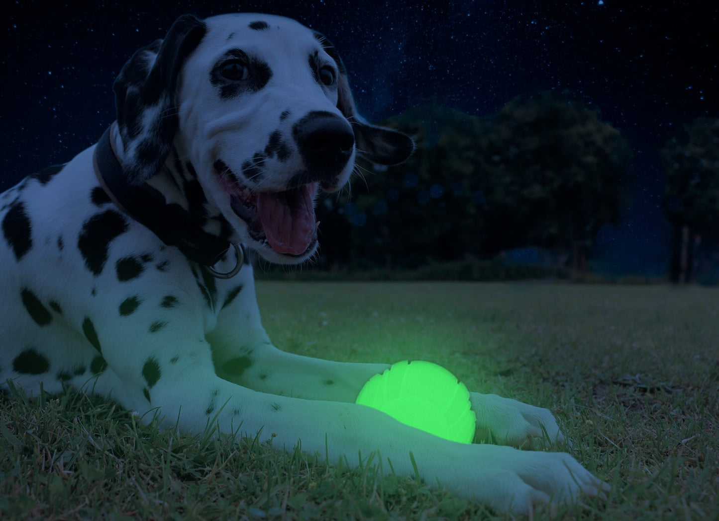 2 Glow Fetch and catch