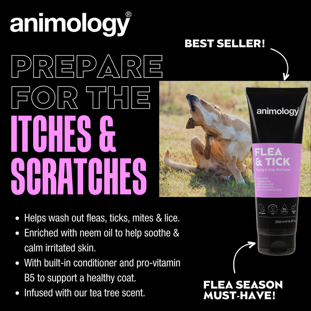 Animology Flea &amp; Tick Shampoo