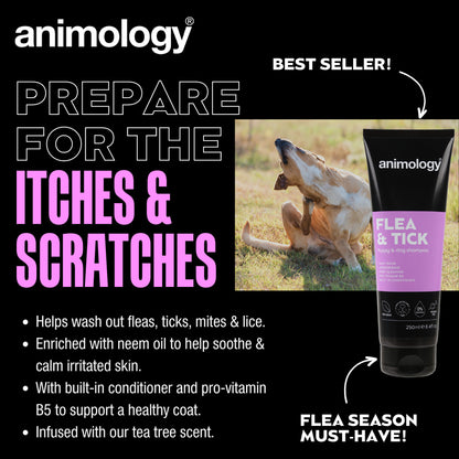 Animology Flea &amp; Tick Shampoo