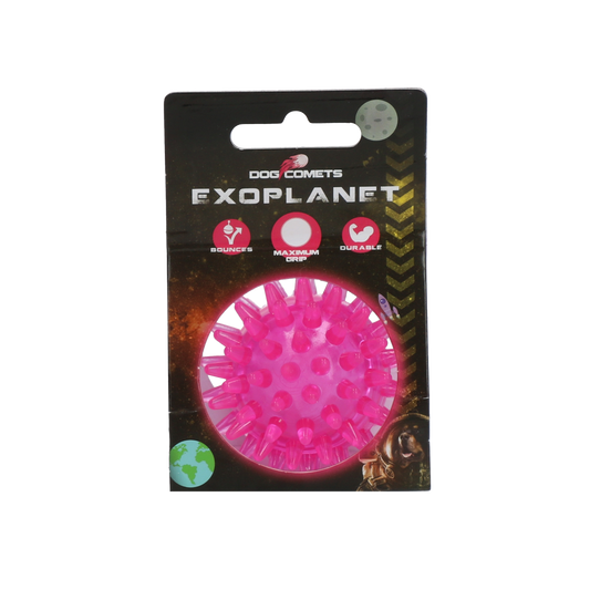 Dog Comets Exoplanet Pink M