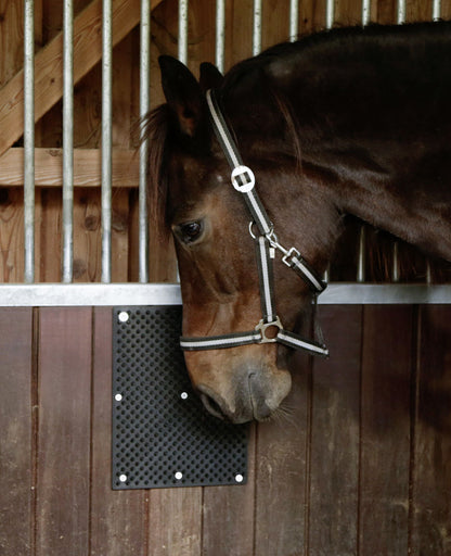 Borstelmat voor Paard, Kalf, Geit Zwart (L40xB30cm)