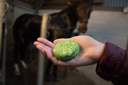 Excellent Horse Hi Gloss Shampoo Bar Aloe Vera 60 g