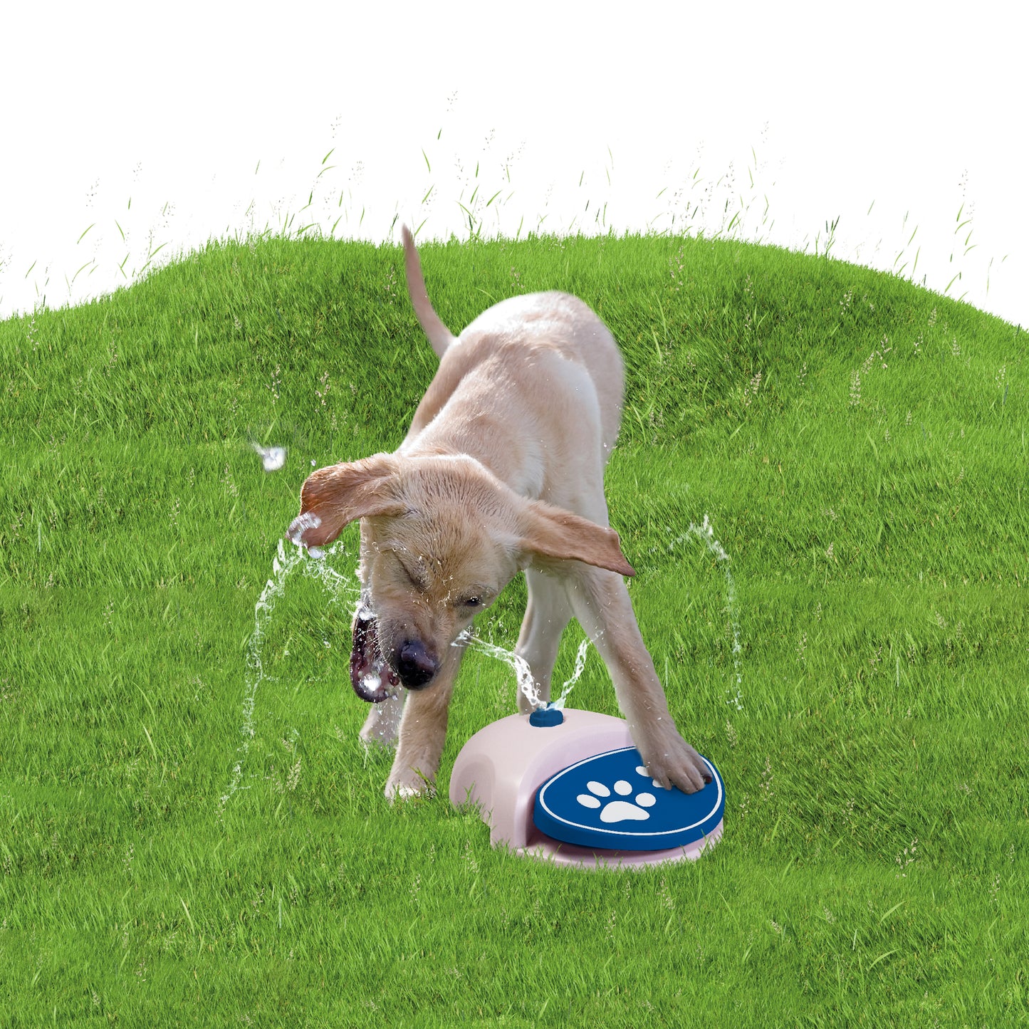 CoolPets Splash Water Fountain