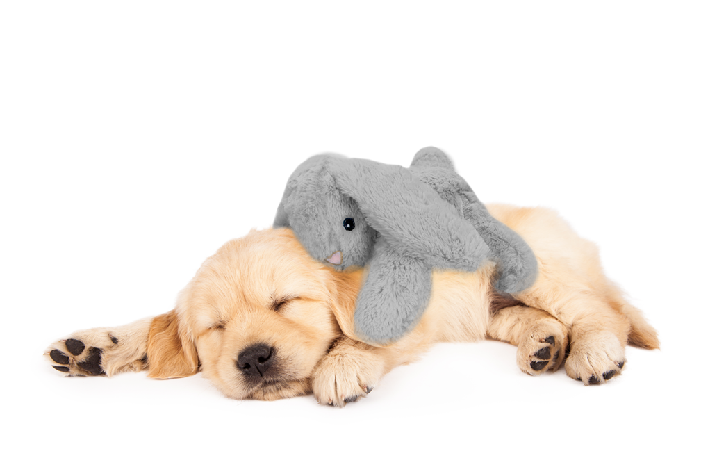 Cozy Dog Bunny Blue