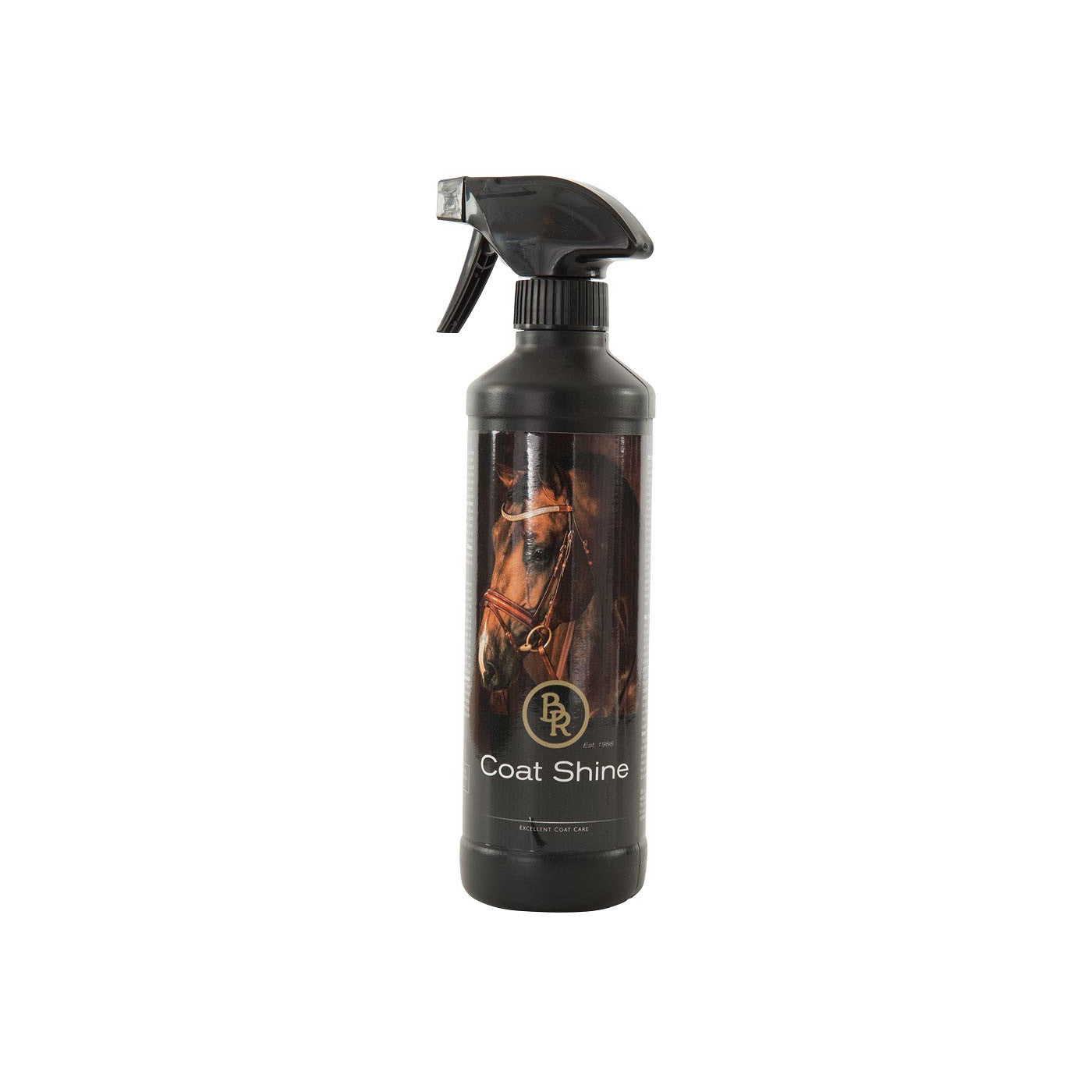 BR glansspray 500 ml VE6